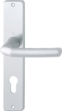 HOPPE Garniture à plaque longue Birmingham 1117/202SP aluminium F1 ( 3000252986 )