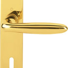 Garniture à plaque longue HOPPE Verona M151/302 laiton F71 ( 3000252651 )