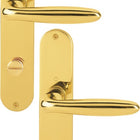 Garniture à plaque longue HOPPE Verona M151/302 laiton F71 ( 3000252668 )