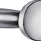 AMF pièce de boutonnière de porte 478L métal léger F1 / couleur argent ( 3311121009 )