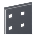 RASTERPLAN Panneau perforé  l450xL500mm ( 9000428174 )